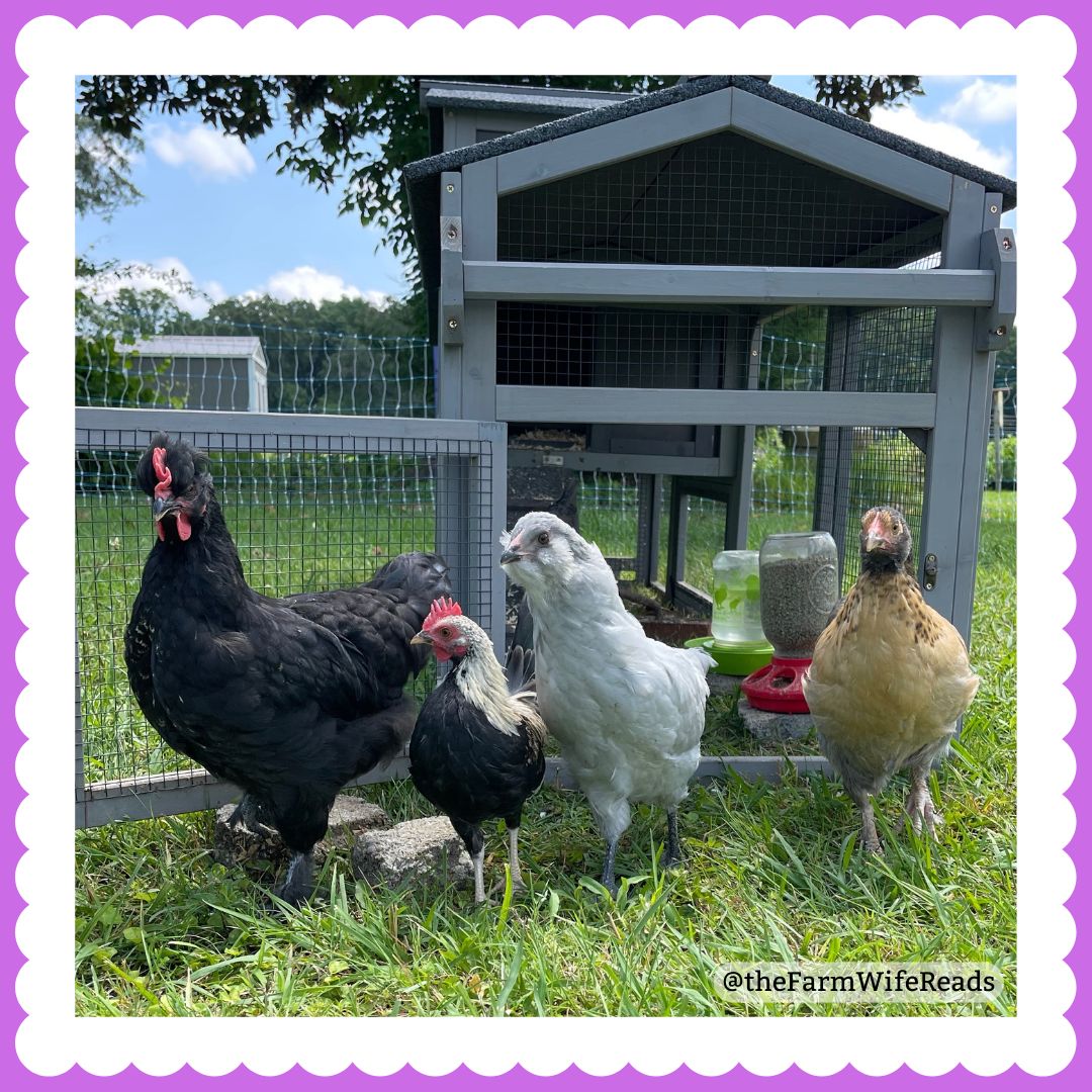Flock Reads Flock on the move – the Farm Wife Reads